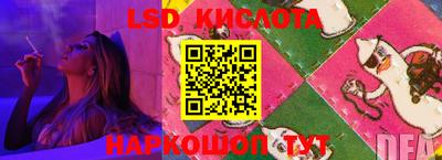 эйфоретик Аргун