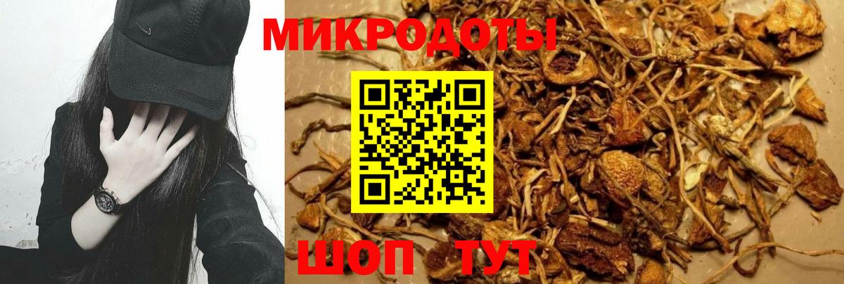 Псилоцибиновые грибы Magic Shrooms Баксан