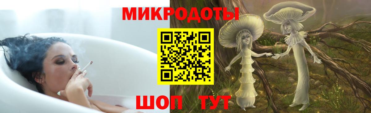 Баксан  как найти   Вход с VPN  Псилоцибиновые грибы Magic Shrooms 